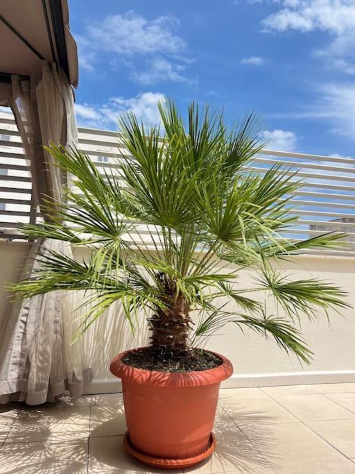 Ferienwohnung Piso Con Terraza A 5 Min Del Mar Alcanar Exterior foto