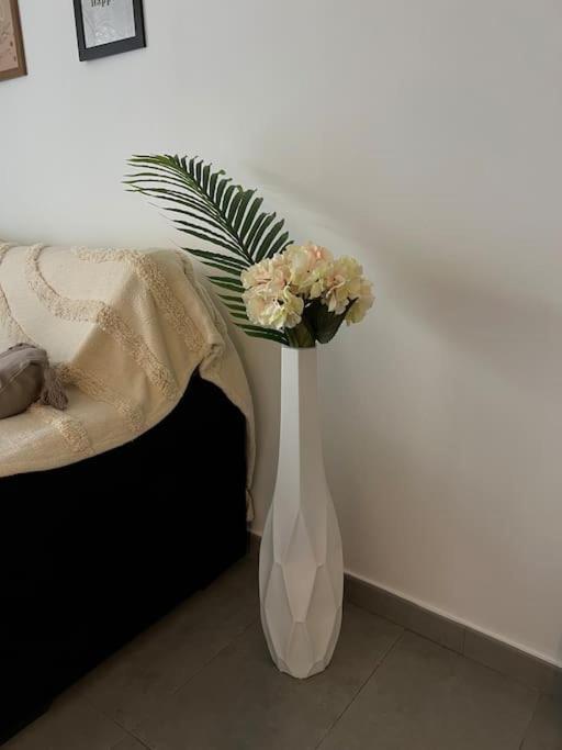 Ferienwohnung Piso Con Terraza A 5 Min Del Mar Alcanar Exterior foto